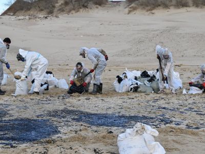 Волонтеры собирают мазут на пляже. Фото: Алексей Майшев / РИА Новости Волонтеры собирают мазут на пляже. Фото: Алексей Майшев / РИА Новости